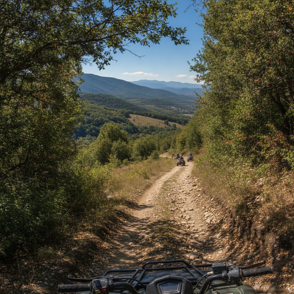 Панорама маршрута с квадроцикла